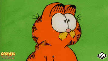 Garfield And Friends What GIF by Boomerang Official