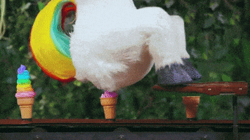poop GIF