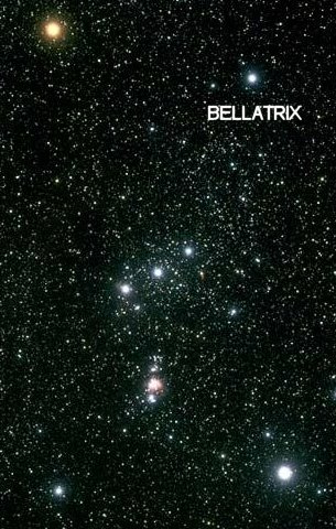Bellatrix.jpg