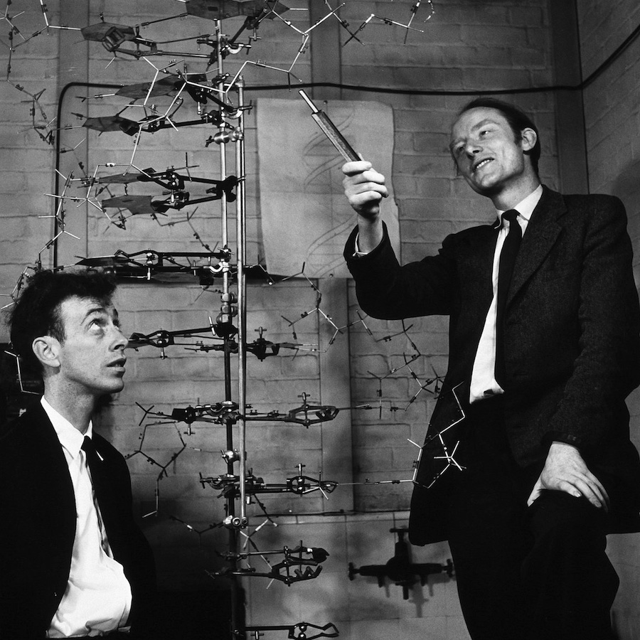 watson-crick-dna-model_crop3.jpg