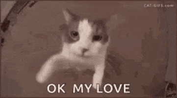 Ok Love GIF