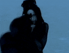 BewitchedInsignificantGyrfalcon-max-1mb.gif