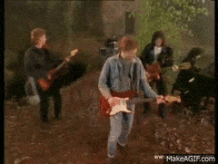 WeakGiddyBaleenwhale-max-1mb.gif