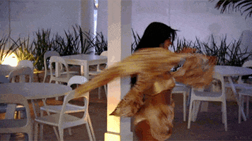 real housewives dancing GIF by RealityTVGIFs
