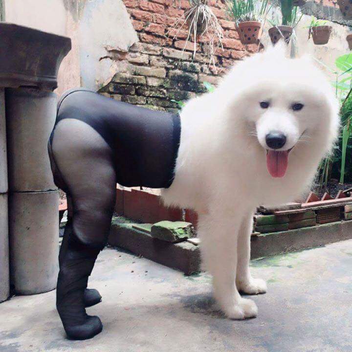 QSoZWZP.jpg