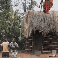 Village Levitating GIF by Chicken Licken SA