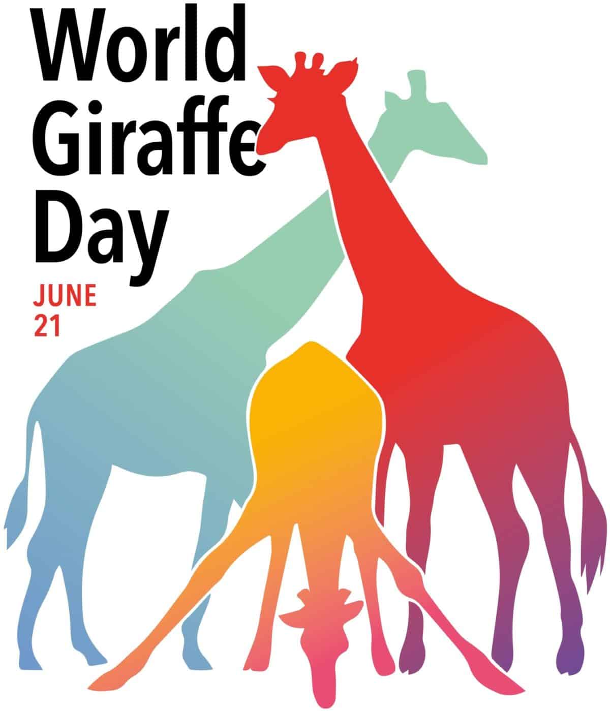 WGD_colour_no-margin-1200x1399.jpg