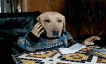 dog-cute.gif