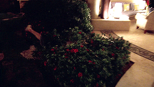 tumblr_otd5dcahMl1ql5yr7o2_500.gif
