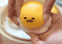 fc9e6f6bcb48d3d722c01d104ada316f.gif