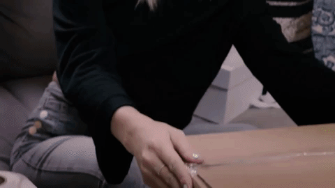 giphy.gif