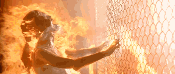 SentimentalSparseHog-size_restricted.gif