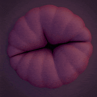 Hole Wobble GIF