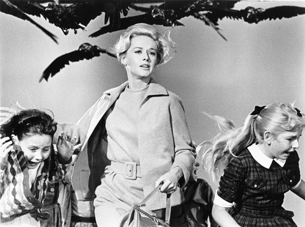 The-Birds.jpg