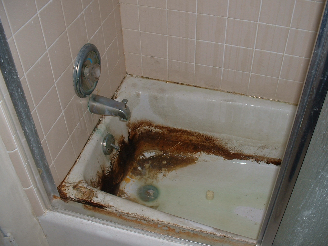 before_bath1_lg.jpg
