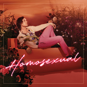 Homosexual_by_Darren_Hayes_album.png