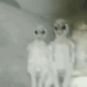 tumblr_pjcvpiU06b1rlpgwh_400.gifv