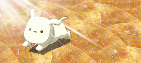 XdwL.gif