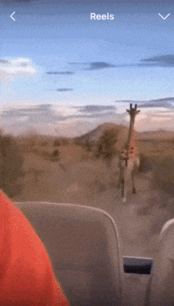 Igcsgcl.gif