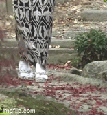 HQDVBF1.gif