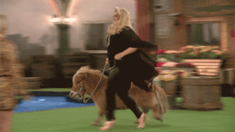 0ca7e051291bfedee436183801ad98e3.gif