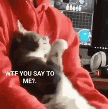 funny-wtf.gif