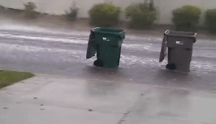 GrandioseMeatyHornedtoad-small.gif