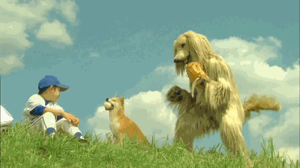 nZ4Ge5K.gif